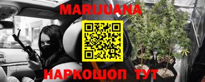 гидропоника Канаш